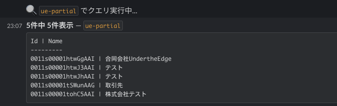 SOQL実行結果